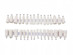 HG-D7 Permanet Teeth with Straight Roots