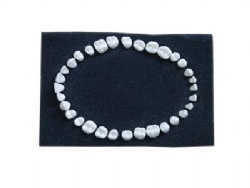 HG-D8 Permanent teeth For SF Standy Model)