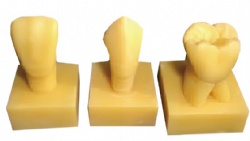 HG-D11 3Times Carving Guide Model