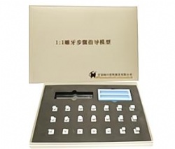 HG-D13 1:1 Carvel Teeth Guidance Model