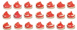 HG-E5 Teeth Missing With Silicon rubber 32pc/set