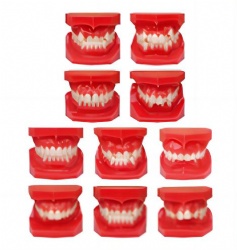 HG-E8 Orthodontic Classification (Monochromatic)