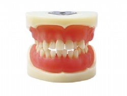 HG-E15 Physician Certification Model