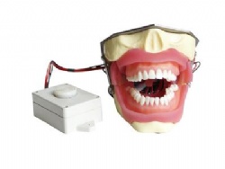 HG-E16 Anesthesia Extraction Model with Buzzer