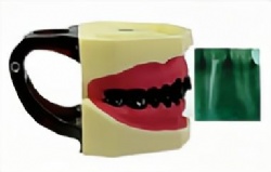 HG-G12 Oral X-Ray Model