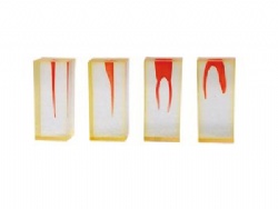 HG-N2 Root canal model
