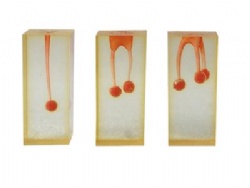 HG-N4 Root canal model