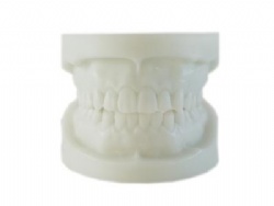 HG-Q3 White corundum tooth model